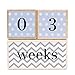Solid Wood Milestone Age Blocks in Blue. Baby Age Photo Blocks and Photo Props…