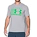 Under Armour UA Blitz Logo LG True Gray Heather