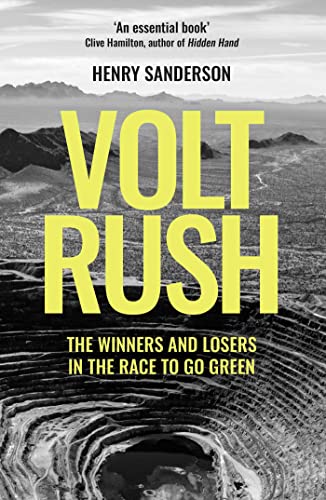 Volt Rush: The Winners and Losers in the Race to Go