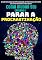 Livro Como Mudar Seu Cérebro E Parar A Procrastinação: Aprenda Como Acabar Com A Procrastinação, Ser Mais Produtivo No Trabalho E Se Tornar Mais Efetivo Em Seus Sonhos