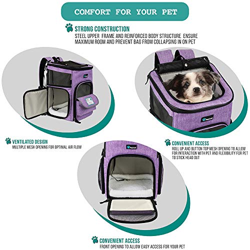 petami pet carrier backpack