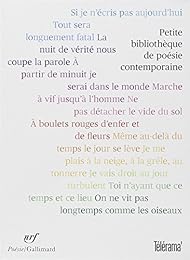 Petite bibliothèque de poésie contemporaine