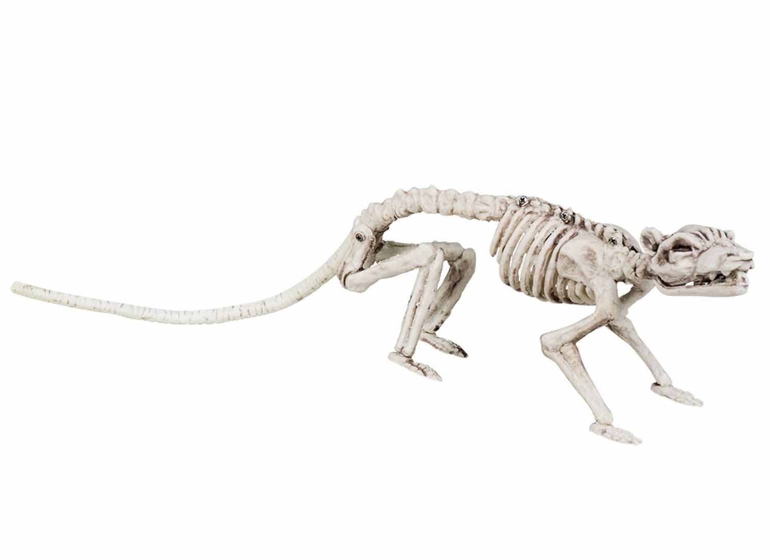 Boland 72155 Rat Skeleton, 35 cm