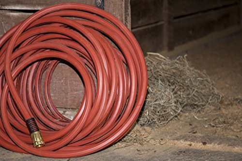 Swan Products Element ELCF34100 Lead-Free, Drinking Water Safe Contractor Farm Hose 100ft, 3/4" diameter, Red