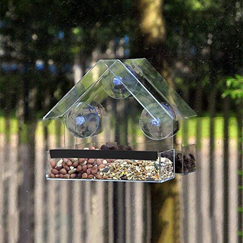 Bird Feeder, Newest Window Bird Feeder, 100% Wild Bird Transparent Viewing, 3 Strong Suction Cups + Seed Tray + Drain Holes, Best Outdoor Bird Feeder Kits, for Cardinal, Wild Birds, Chickadees - Thumbnail 5