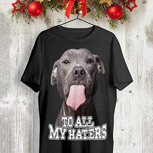 pitbull wearing hoodie