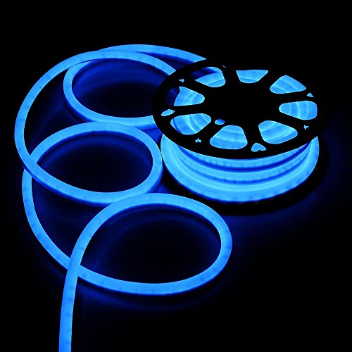 DELight 50 FT 110V Blue Flexible LED Neon Rope Light Indoor Outdoor Holiday Valentines Party Decoration Lighting