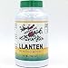 Full Spectrum LLanten (Plantain Leaf - Plantago Major) by Herbacure