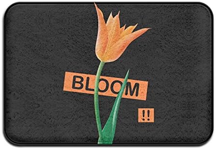 Doormats Bloom 2017 New Style New\r\n Monogram Indoor Door Mats 15.7" X 23.6" FRICSTAR