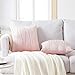 Top Finel Decorative Throw Pillow Covers 18 X 18 Inch,Soft Solid Velvet Pillow Covers Cushion Case for Sofa Bedroom 45 X 45 Cm (Pack of 2) Pink