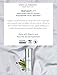 Instant Face Lift Rejuvenating Triple Stem Cell Treatment | Instant Skin Tightening and Lifting | Peptides Eliminate Wrinkles and Fine Lines | Fruitscription Formula Restores Cellular Youth for Immediate Results