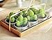 WISDOMTOY 6-Piece Mini Lovely Green Meat Plant Cactus Romantic Candle