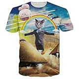 RAISEVERN Unisex Casual Cat Rainbow Pyramid Printed Short Sleeve T shirts 2XL