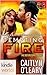 Dallas Fire & Rescue: Tempting Fire (Kindle Worlds Novella)