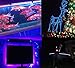 Super Waterproof 12V Black Lights Strip LED Blacklight Fixture, AMARS 5M/16.4FT 300 LED Purple Lighting for Boat, Outdoor, Black Lights Party, Fluorescent (Strip Only)