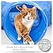 Cat Tunnel Toy - Collapsible 3 Way Tube for Kitty Exercise, Entertainment and Run. Like Christmas and Catnip for Kittens. Best Play House to Help Stop Meowing and Scratching