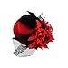 Kalevel Hair Clip Feather Punk Mini Top Hat with Clips and Veil for Girls Women (Red)