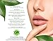PUREST Natural & Organic Hyaluronic Acid with Vitamin C and E - WRINKLE ERASER & Collagen Builder.