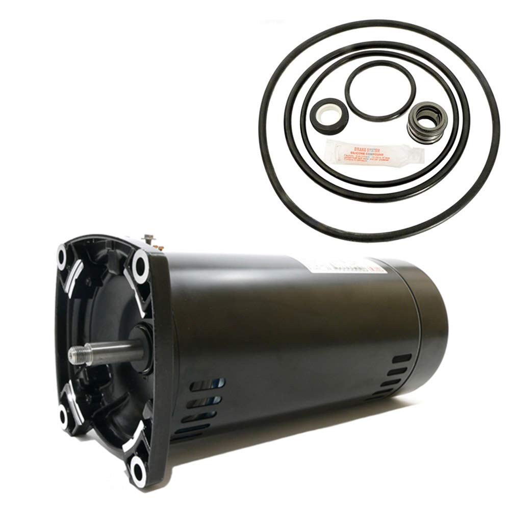 Puri Tech Sta-Rite Dyna-Glas 1HP MPRA6E147L Replacement Motor Kit AO Smith USQ1102 w/GO-KIT-47