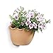 T4U Resin Wall Hanging Planter Apricot Small Set of 2, Wave Edge Pottery Style Plastic Flowers Pot for Home Office Garden Porch Wall Decoration Indoor Outdoor Best Giftthumb 1