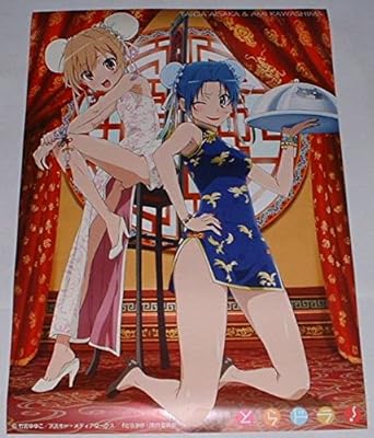 Amazon とらドラ B2 お風呂ポスター 竹宮ゆゆこ ヤス