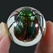REALBUG Beetle Marbles 4pcs Set