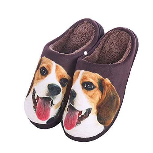 beagle slippers