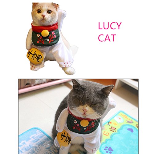 WeeH Dog Costume Halloween Cat Clothing Cosplay Japan Style Pet Clothes for Doggy Kitty Rabbits Pig Fun Christmas Gift, Lucky Cat