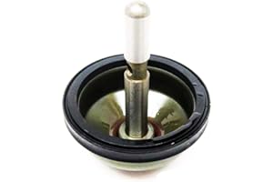 Servo overdrive, BLUE DOT, 2.915" 5R55W 1999-