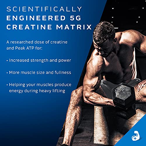 Creatine Powder MuscleTech CellTech Elite Creatine Powder Post