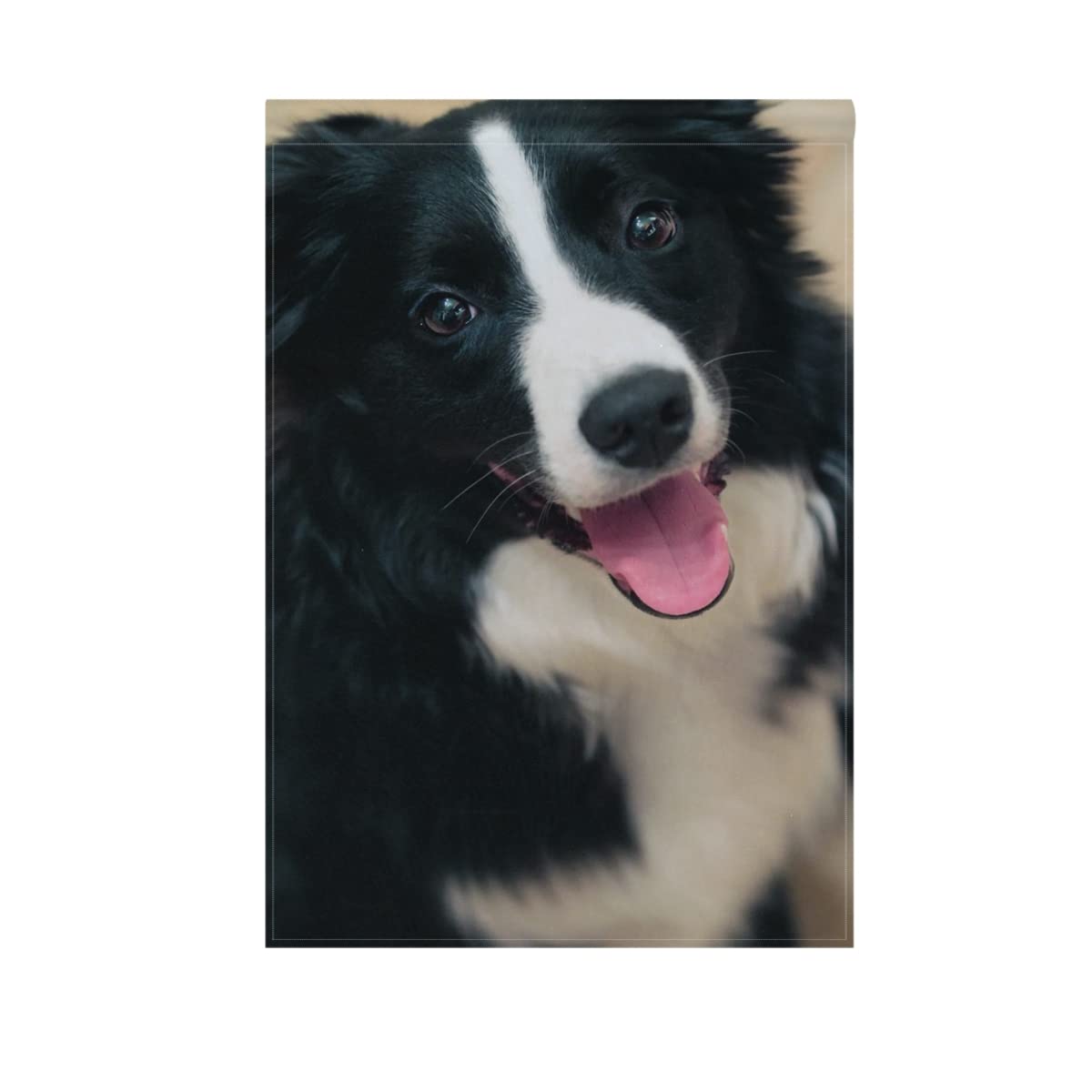Hokkien Black and White Border Collie Dogs Garden Flag Banner 12 x 18 Inch Decorative Garden Flag for Outdoor Lawn and Garden Home Décor Double-Sided