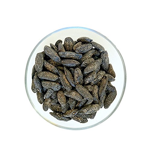 Whole Tonka Beans 1.8 oz Beans Spices Pure Cumaru Vanilla Bean (Dipteryx odorata) Haba Tonka