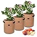 westbestar Potato Grow Bags, 3 Pack Potato Growing Bags, 7 Gallon Velcro Window Vegetable Grow Bags, Double Layer Premium Breathable Non-Woven Cloth, with 3 Pcs Plant Labelthumb 2