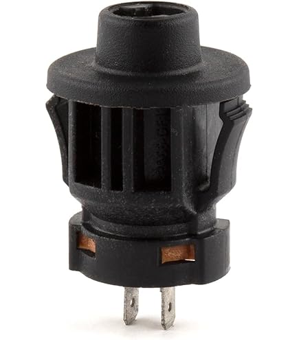 Amazon.com : GENUINE OEM BRIGGS & STRATTON - SWITCH-KEY 791944