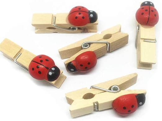 Amazon Com Allheartdesires 50 Ct Ladybug Girl Baby Shower