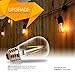 Brightech – Ambience PRO LED S14 1 Watt Bulb - 1 Watt – Use to Replace High-Heat, High-Cost incandescent bulbs in Outdoor String Lights – Edison-inspired Exposed Filaments Design