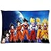 Custom Dragon Ball Z Transformer Pillowcase Standard Size 30x20 inches (Two Sides) Zippered Pillow Case Cover