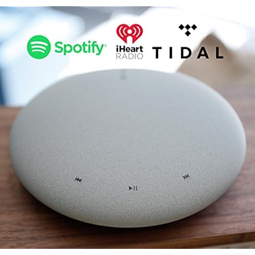 Electronics, Home Audio, Wireless & Streaming Audio, Wireless Audio Receivers & Adapters