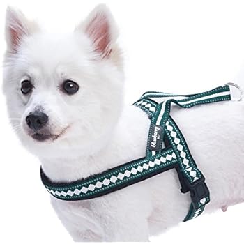 Blueberry Pet 6 Colors Soft & Comfy Jacquard Padded Dog Harness, Chest Girth 21.5