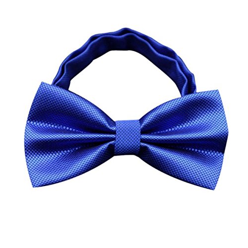 Gifts For Men ! Charberry Mens Bow Tie Butterfly Cravat bowtie Wedding commercial bow ties Cravats Accessories (Blue)