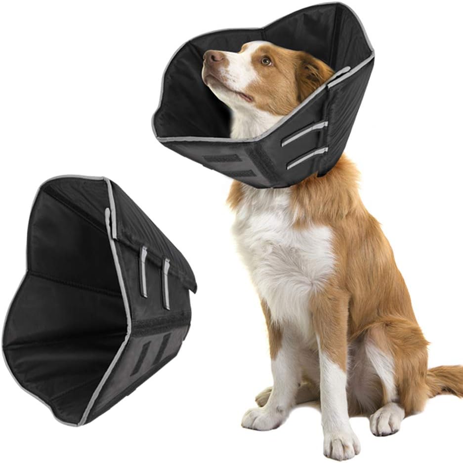 padded dog cone collar