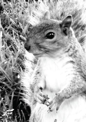 MY BIG FAT CALENDAR 2018 - SQUIRREL (Great Britain): 1 day per DIN A4 page, lined