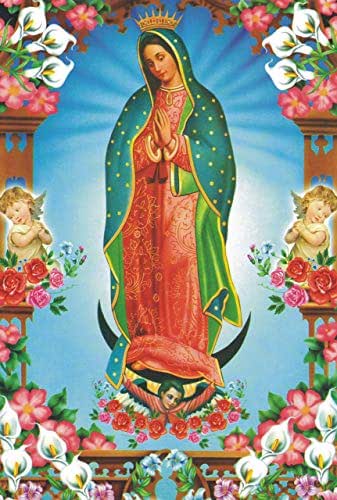 VIRGEN de GUADALUPE en UN AZULEJO de 20X30cm : Amazon.com.mx: Productos