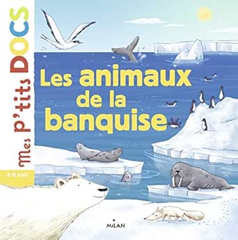 Les Animaux De La Banquise Mes P Tits Docs French Edition Ebook Ledu Stephanie Vaufrey Delphine Amazon Es Tienda Kindle