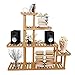 Yardeen 5-Tier Wooden Plant Display Stand Bonsai Flower Rack Storage Organizer Rack Shelving 10 Pot Holder for Garden Patio Corner Indoor&Outdoor Décorthumb 1