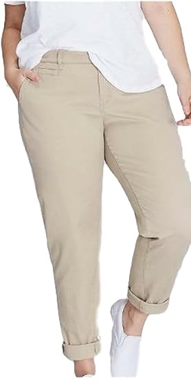 lane bryant boyfriend chino