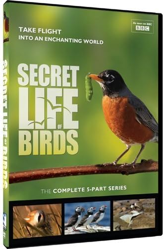 Amazon.com: The Life of Birds : David Attenborough: Movies & TV