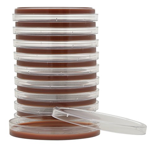 Chocolate Agar, (GC Agar Base with 1 Percent Bovine Hemoglobin and Koenzyme Supplements), for Fastidious Bacteria, 15x100mm Plate, Order by the Package of 10 Plates, by Hardy Diagnostics