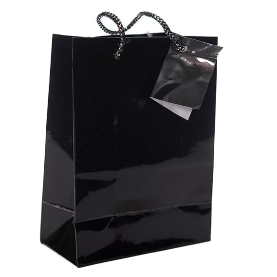 Fun Express Small Black Gift Bags (24 Pack) Health