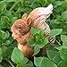 Wonky Hill Products Miniature Fairy Gardens Set- 3 Pieces Fairy Bluebell Accessory Fairy Door Starter Set